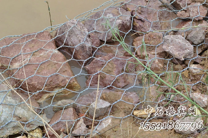 格賓網護岸